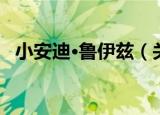 小安迪·鲁伊兹（关于小安迪·鲁伊兹介绍）