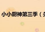 小小厨神第三季（关于小小厨神第三季介绍）