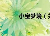 小宝梦境（关于小宝梦境介绍）