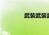 武装武装武装（武装分子）