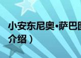小安东尼奥·萨巴图（关于小安东尼奥·萨巴图介绍）
