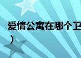 爱情公寓在哪个卫视播出时间（爱情公寓在哪）