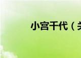小宫千代（关于小宫千代介绍）
