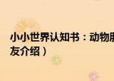小小世界认知书：动物朋友（关于小小世界认知书：动物朋友介绍）