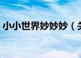 小小世界妙妙妙（关于小小世界妙妙妙介绍）