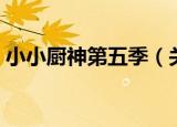 小小厨神第五季（关于小小厨神第五季介绍）