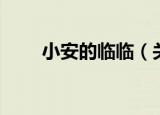 小安的临临（关于小安的临临介绍）