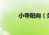 小寺阳向（关于小寺阳向介绍）