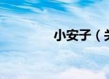小安子（关于小安子介绍）