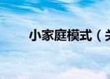 小家庭模式（关于小家庭模式介绍）