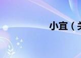 小宜（关于小宜介绍）