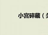 小宫碎藏（关于小宫碎藏介绍）