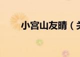 小宫山友晴（关于小宫山友晴介绍）