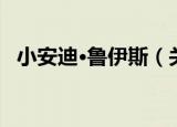 小安迪·鲁伊斯（关于小安迪·鲁伊斯介绍）