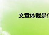 文章体裁是什么意思（文章体）