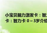 小宝贝脑力激发卡：智力卡 0～3岁（关于小宝贝脑力激发卡：智力卡 0～3岁介绍）