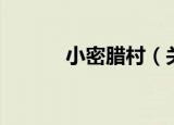 小密腊村（关于小密腊村介绍）