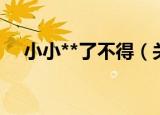 小小**了不得（关于小小**了不得介绍）