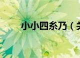 小小四糸乃（关于小小四糸乃介绍）