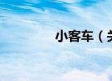 小客车（关于小客车介绍）