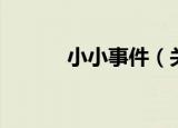小小事件（关于小小事件介绍）