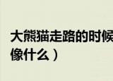 大熊猫走路的时候像什么（大熊猫走路的样子像什么）