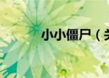 小小僵尸（关于小小僵尸介绍）