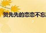 贺先先的恋恋不忘剧情介绍分集剧情电视猫
