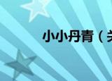 小小丹青（关于小小丹青介绍）