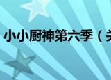 小小厨神第六季（关于小小厨神第六季介绍）
