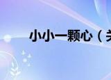 小小一颗心（关于小小一颗心介绍）