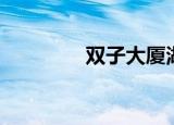 双子大厦湖州（双子大厦）