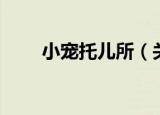 小宠托儿所（关于小宠托儿所介绍）