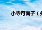 小寺可南子（关于小寺可南子介绍）