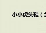 小小虎头鞋（关于小小虎头鞋介绍）