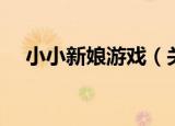 小小新娘游戏（关于小小新娘游戏介绍）
