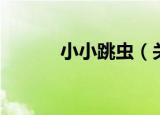 小小跳虫（关于小小跳虫介绍）