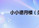 小小德月楼（关于小小德月楼介绍）