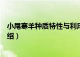 小尾寒羊种质特性与利用（关于小尾寒羊种质特性与利用介绍）