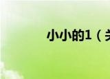 小小的1（关于小小的1介绍）