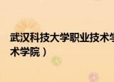 武汉科技大学职业技术学院洪山校区（武汉科技大学职业技术学院）
