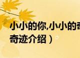 小小的你,小小的奇迹（关于小小的你,小小的奇迹介绍）