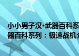小小男子汉·武器百科系列：极速战机（关于小小男子汉·武器百科系列：极速战机介绍）