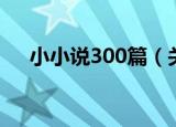 小小说300篇（关于小小说300篇介绍）