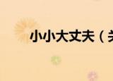 小小大丈夫（关于小小大丈夫介绍）