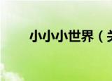 小小小世界（关于小小小世界介绍）