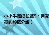 小小牛顿成长馆5：月亮的秘密（关于小小牛顿成长馆5：月亮的秘密介绍）