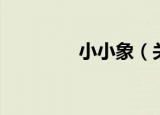 小小象（关于小小象介绍）