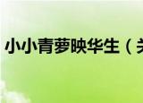 小小青萝映华生（关于小小青萝映华生介绍）