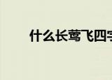 什么长莺飞四字成语（什么长莺飞）